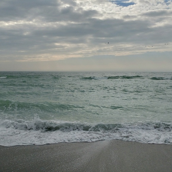 Meet your Posher, Dee - Picture 1 of 1